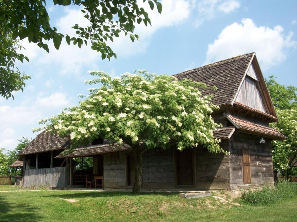 Ethno Village Stara Country house