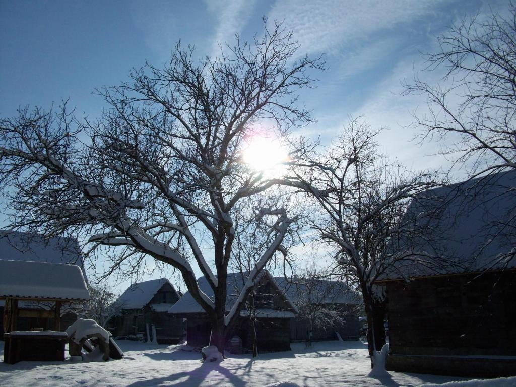Ethno Village Stara * Lonja